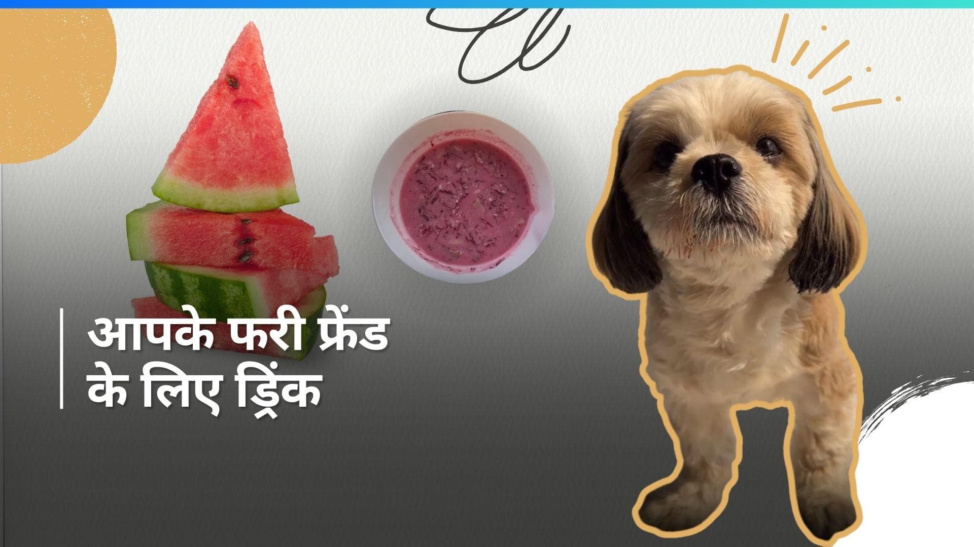 Summer Drink for Pet: गर्मी में अपने पेट्स को पिलाएं ये खास ड्रिंक, मिनटों में बनकर हो जाएगी तैयार