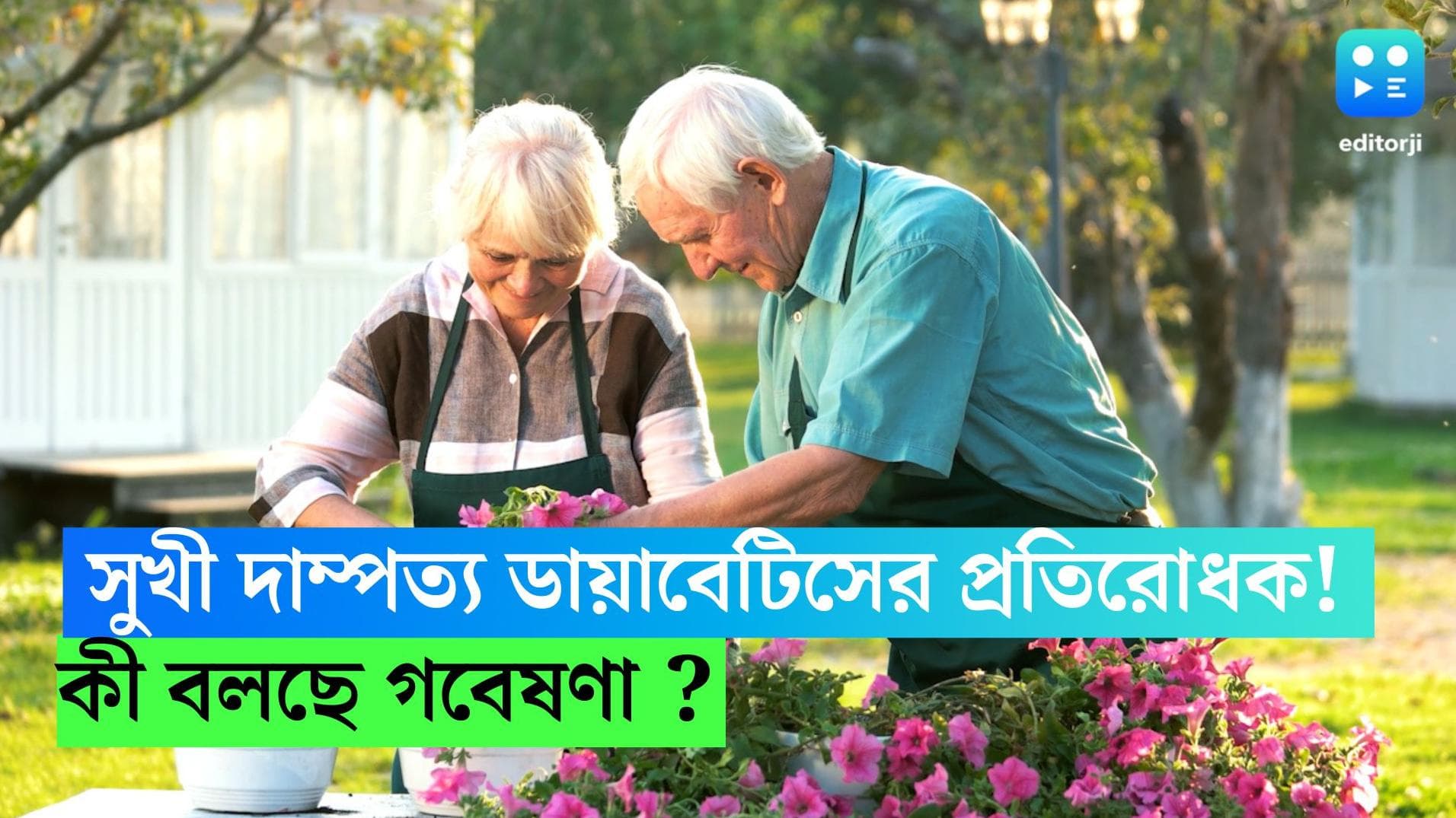 Type 2 Diabetic: সুখী দাম্পত্য ডায়াবেটিসের প্রতিরোধক! কী বলছে গবেষণা? 