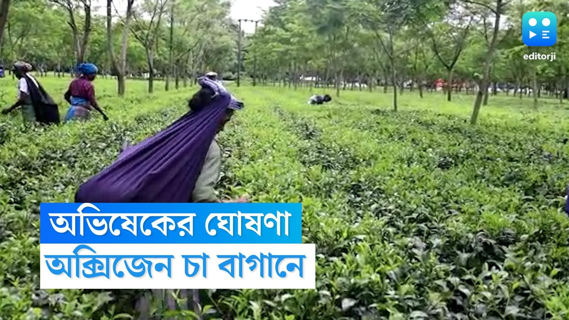 Abhishek Banerjee: চা শ্রমিদের পাশে অভিষেক, খুশির হাওয়া ডুয়ার্সে 