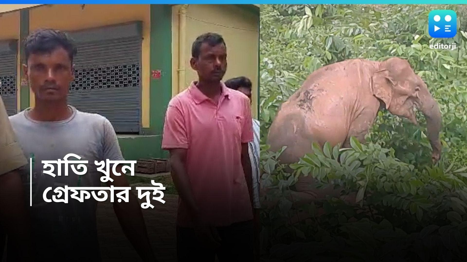 Jhargram News : ঝাড়গ্রামে হাতি খুনে গ্রেফতার মূল অভিযুক্ত, ছয় দিনের পুলিশি হেফাজতের নির্দেশ