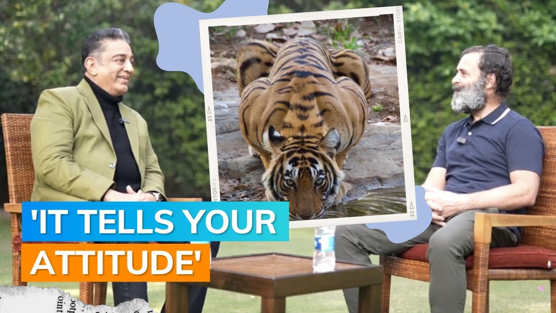 Rahul Gandhi gifts Kamal Haasan a tiger portrait clicked by Priyanka Gandhi’s son 