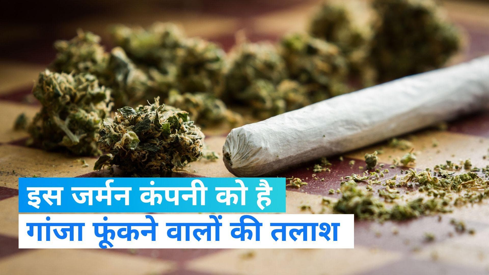 Weird Job: गांजा फूंकने वालों के लिए जर्मन कंपनी ने निकाली जॉब, सालाना पैकेज जानकर हो जाएंगे हैरान