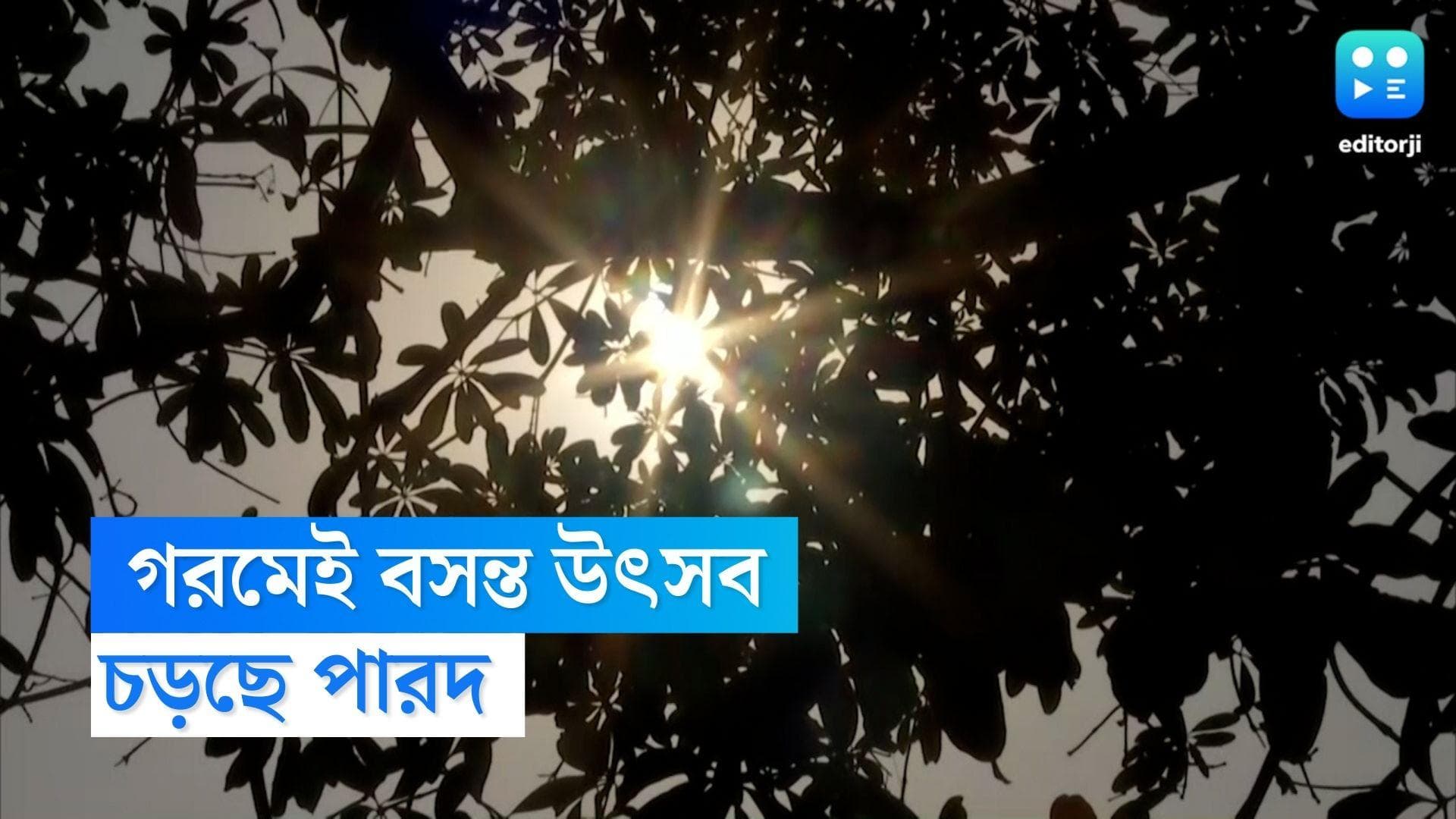 West Bengal Weather Update: দোলে হাঁসফাঁস গরমের আভাস, চড়ছে পারদ