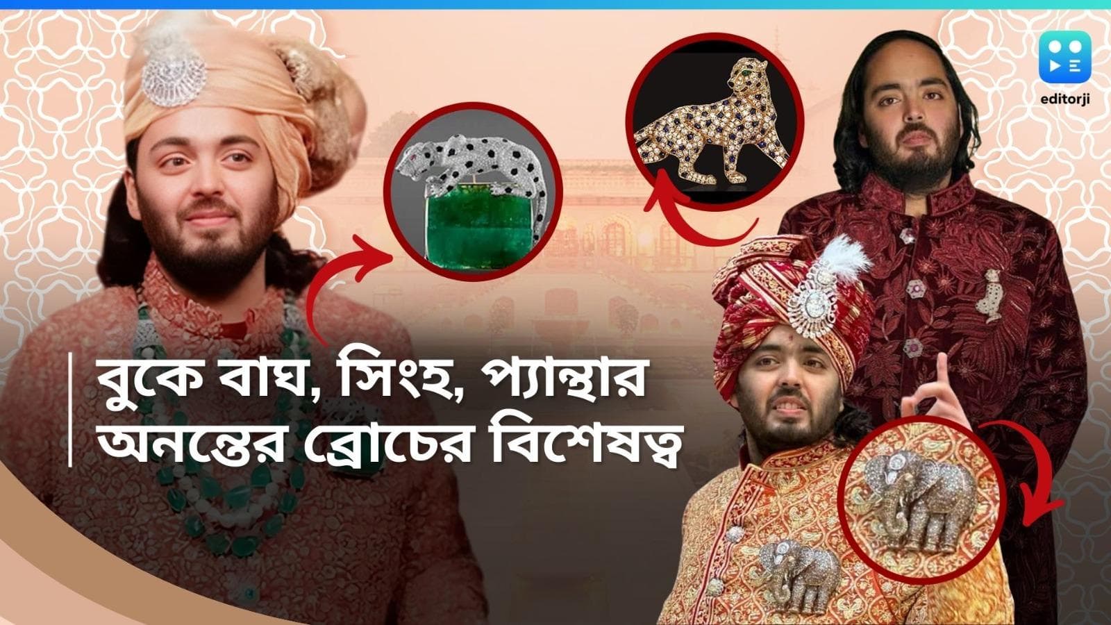 Anant Ambani Brooch: হলুদ হীরে খচিত সিংহ থেকে প্ল্যাটিনামের প্যান্থার, অনন্তের ব্রোচগুলির বিশেষত্ব জানেন?