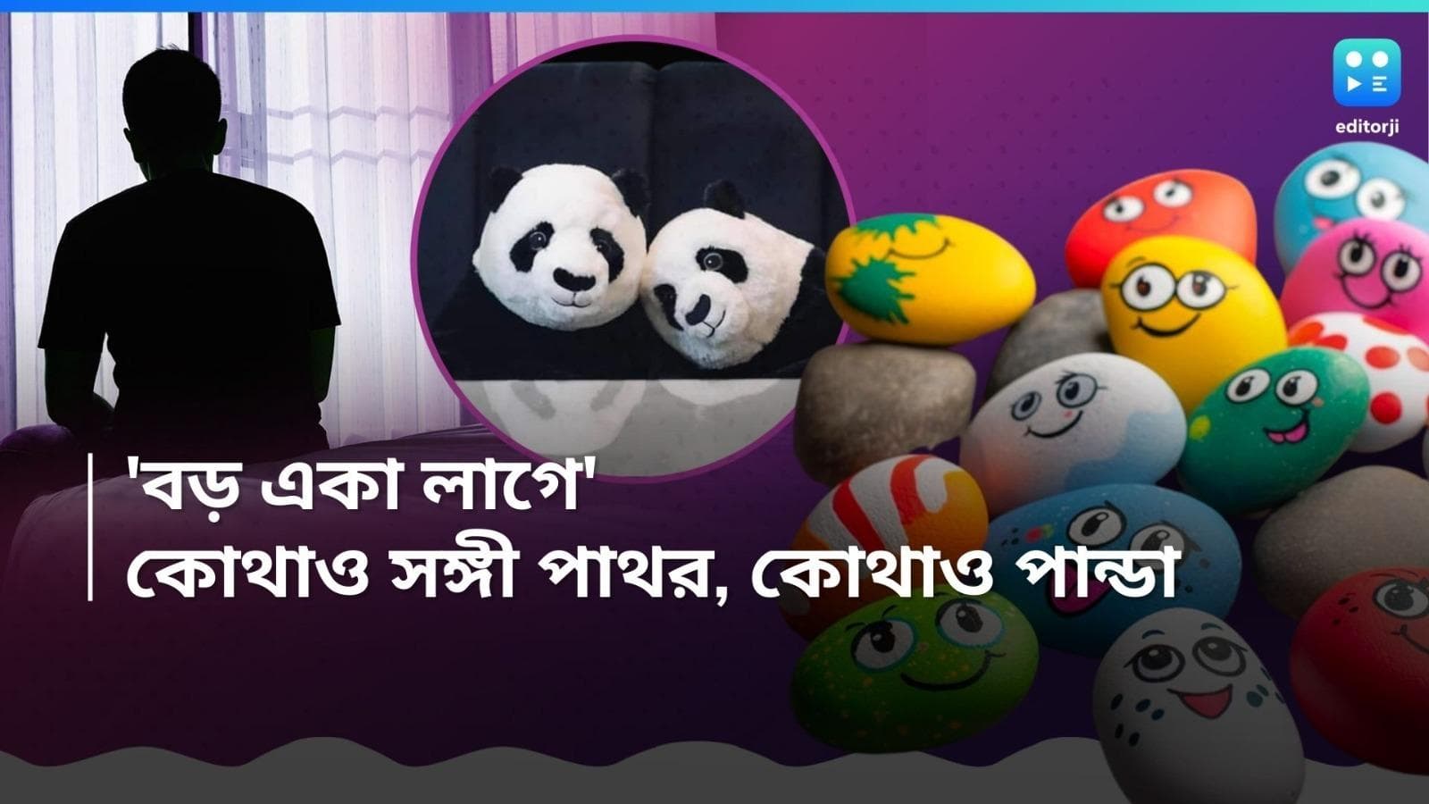 Loneliness: একলা জীবনে পোষ্য নয়; সঙ্গী পাথর! চোখ-মুখ এঁকে চলছে বার্তালাপ