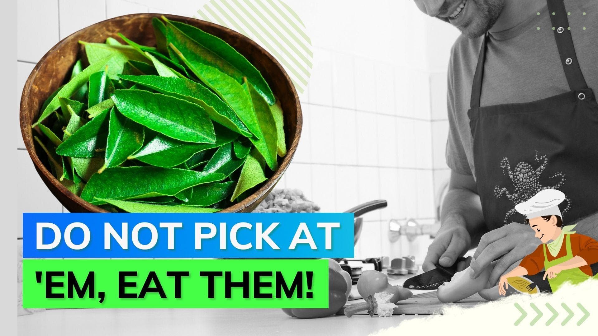Reasons why you must add curry leaves to your daily diet