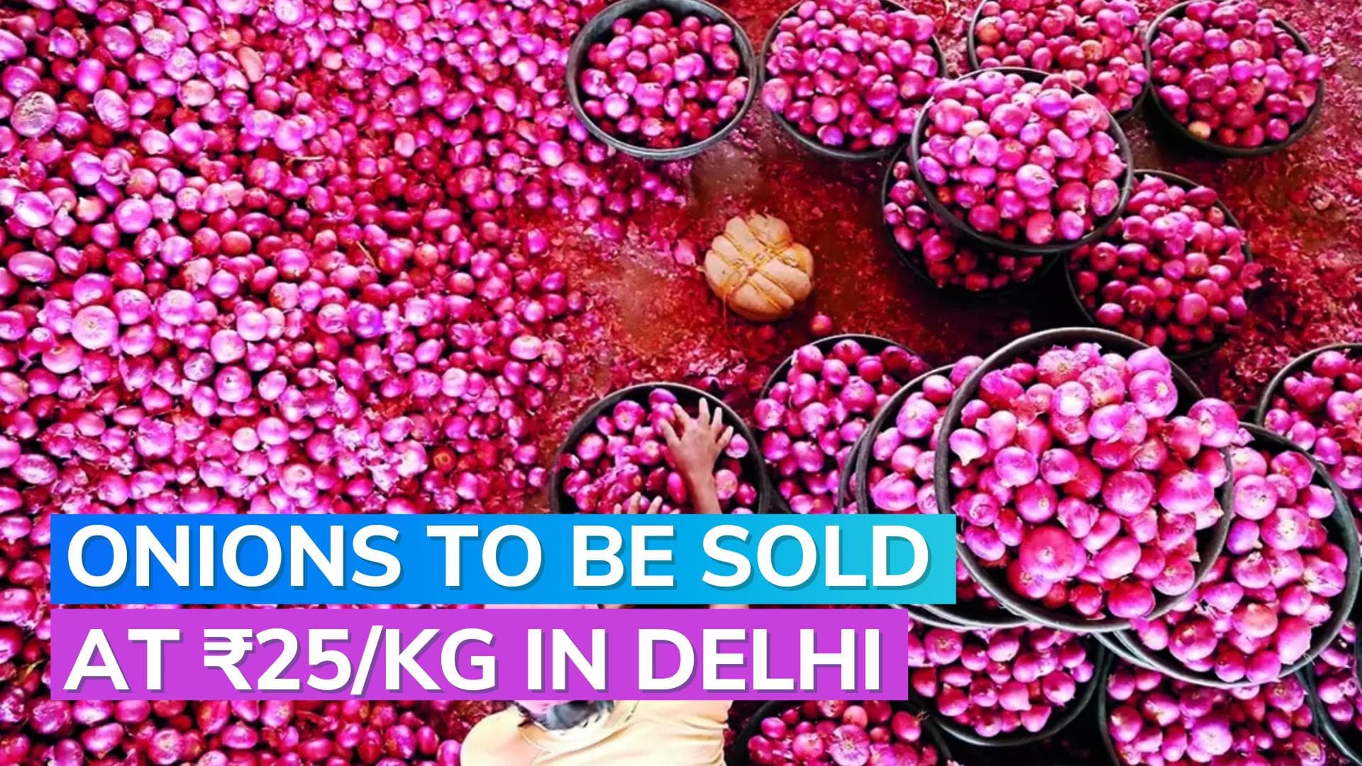 Delhi govt begins ₹25/kg Onion sales today to counter food inflation