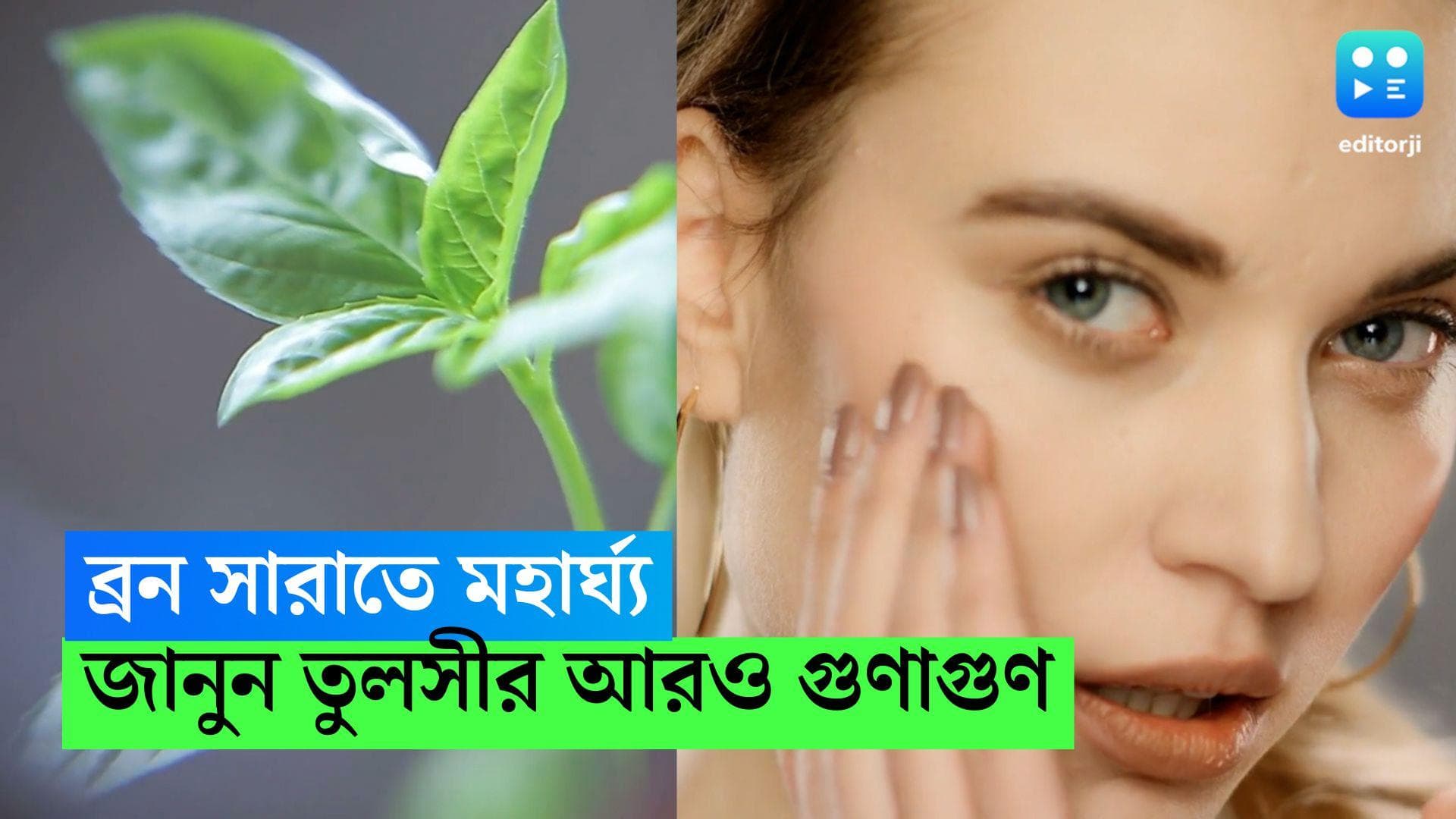 Tulsi Skin Benefits : ব্রণ সারাতে মহার্ঘ্য, দূর হবে দাগছোপও! জানুন তুলসীর আয়ুর্বেদিক নানা গুণ 