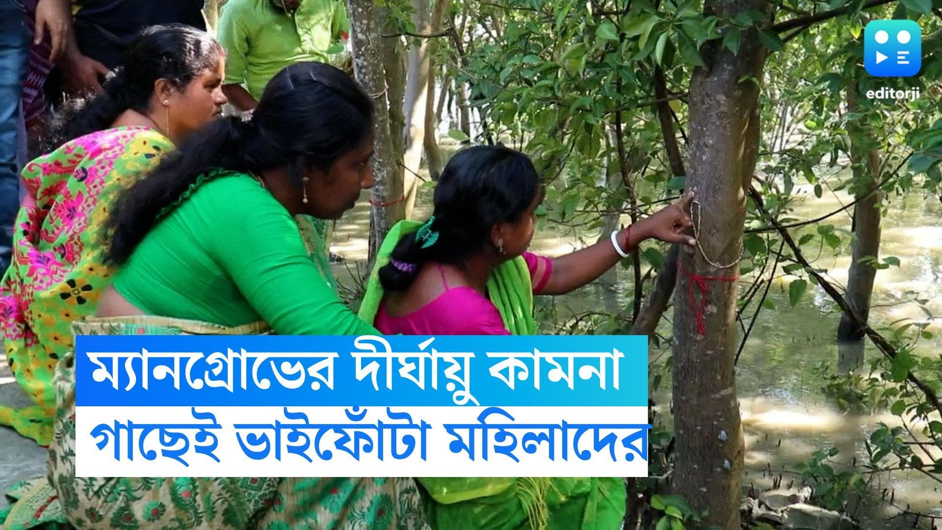 Bhaifota Sundarban Mangrove: সুন্দরবনের প্রাণ ম্যানগ্রোভ, দীর্ঘায়ু কামনায় গাছের গায়ে ফোঁটা দিলেন মহিলারা