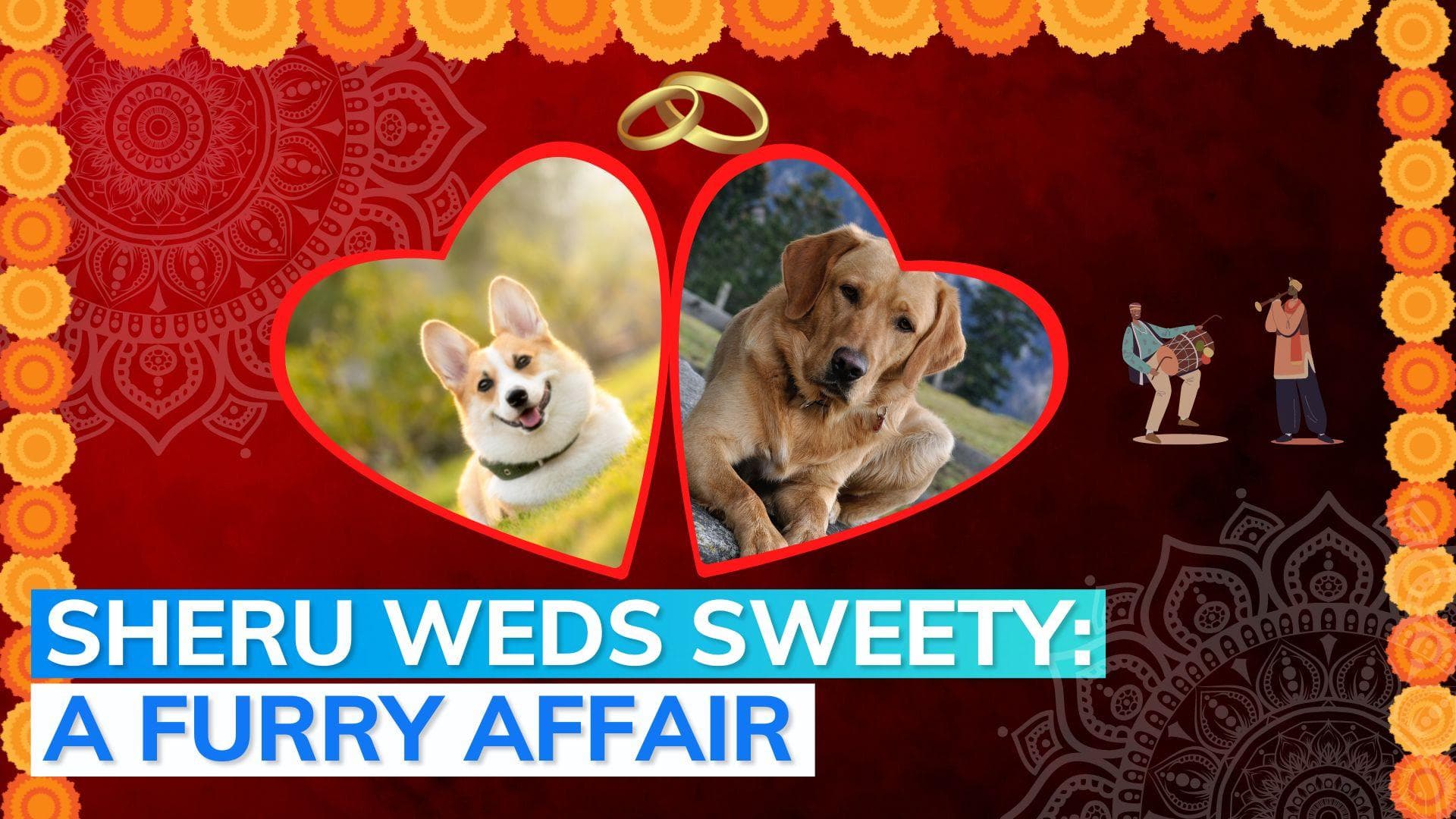 Watch: Band, Baaja and Baarat at this unique union