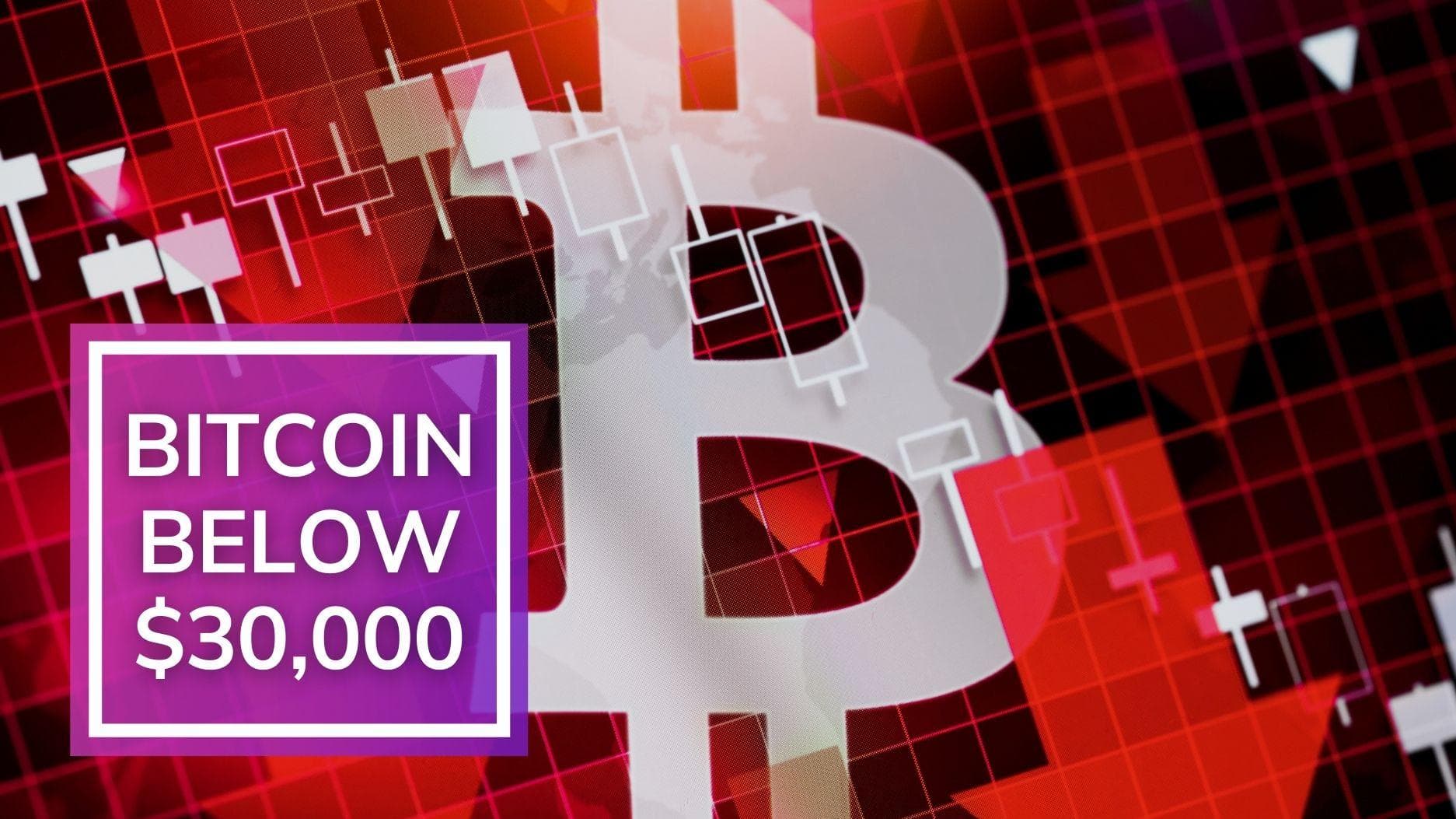 Bitcoin falls below $30,000 for the first time in 10 months