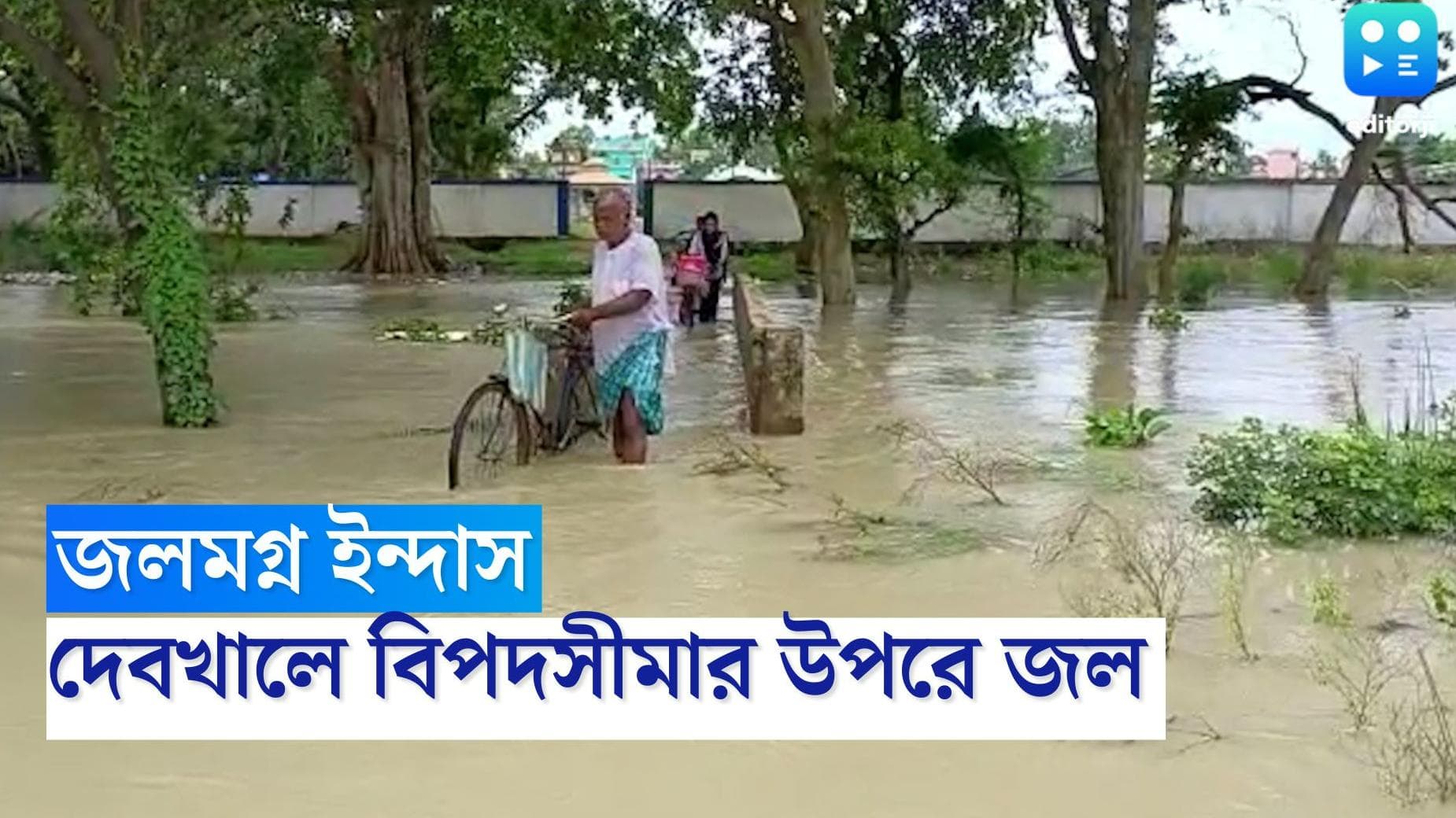 Heavy Rainfall in Bankura: নিম্নচাপের বৃষ্টিতে জলমগ্ন বাঁকুড়ার ইন্দাস, প্রাণ হাতে করে চলছে সেতু পারাপার 