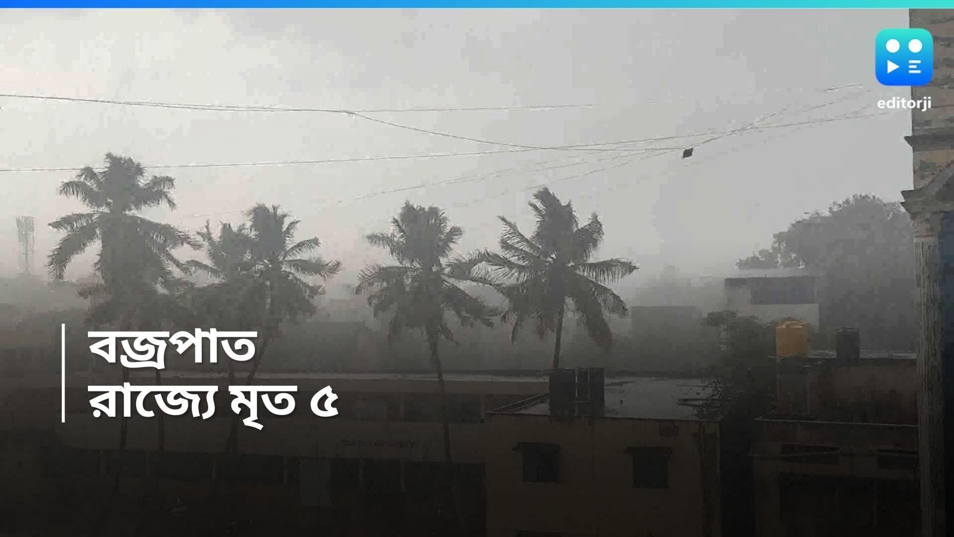 Died By Lightning : রাজ্যে বাজ পড়ে মৃত ৫, প্রাণ গিয়েছে ৩টি গরুর-ও 