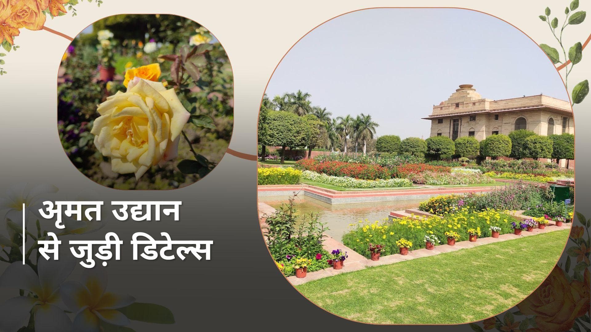 Amrit Udyan 2024: इस दिन आम जनता के लिए खुलेगा अमृत उद्यान, जानें कैसे पहुंचे