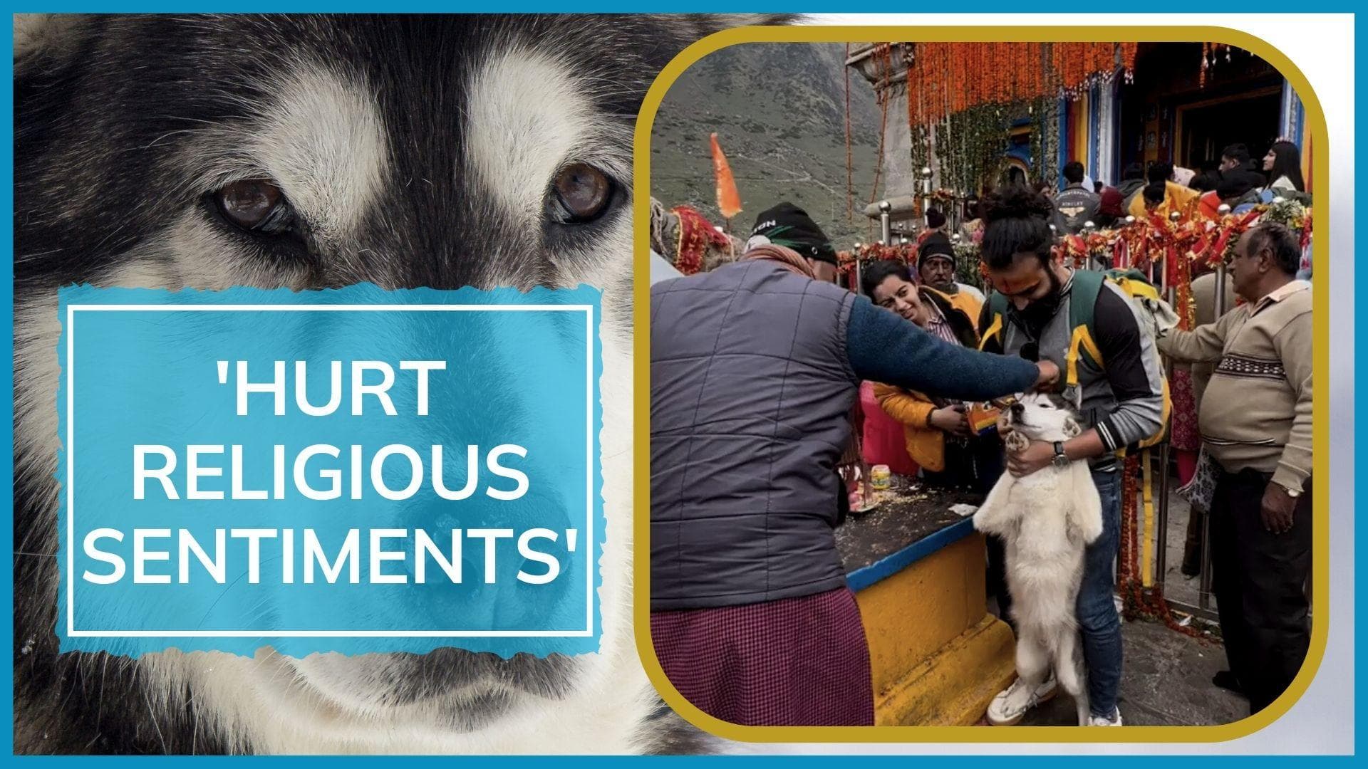 Dog's presence in Kedarnath temple 'hurt' religious sentiment of people; FIR against owner
