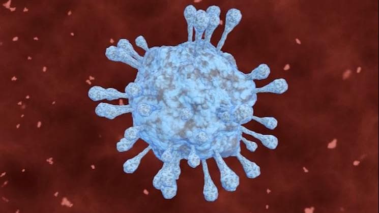 Covid-19: फ्लाइट्स बैन होने से नाखुश दक्षिण अफ्रीका, कहा- नए वेरिएंट का पता लगाने की मिल रही है सजा