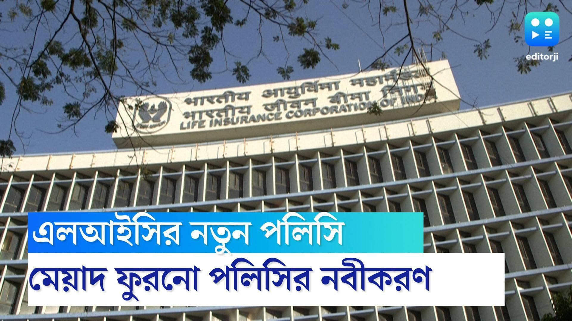 LIC New Rule: গ্রাহকদের জন্য চমকপ্রদ ঘোষণা এলআইসির, মেয়াদ উত্তীর্ণ পলিসি নবীকরণের ক্ষেত্রে মিলবে সুবিধা