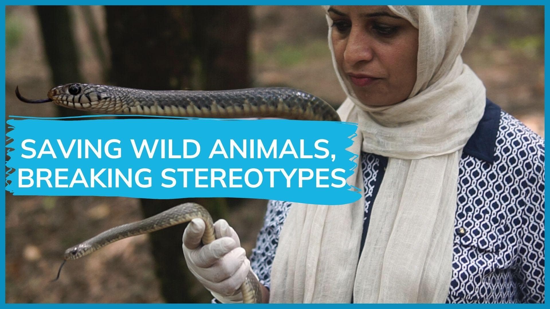 Fascinated by snakes, inspired by bear's killing: meet Aaliya Mir, Kashmiri wildlife conservationist