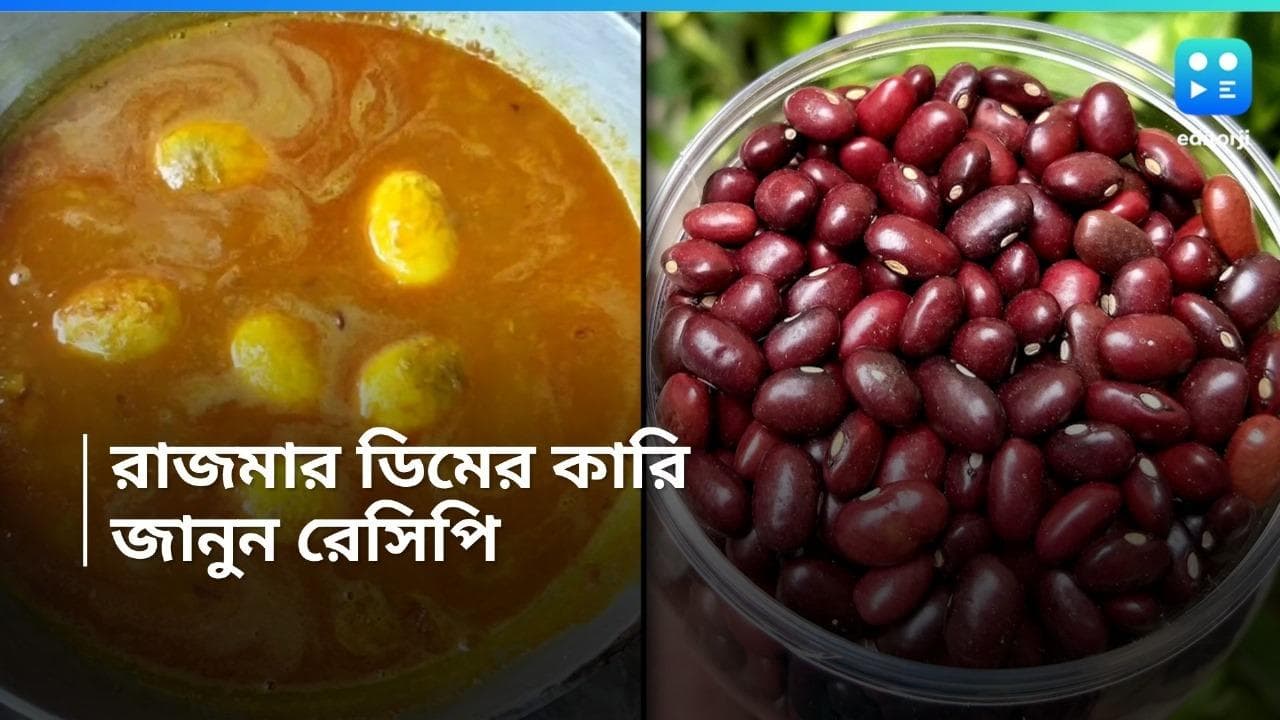 Rajma Egg Curry: দোলের দিনে ঝটপট বানিয়ে ফেলুন রাজমার ডিমের কারি, দেখুন রেসিপি 