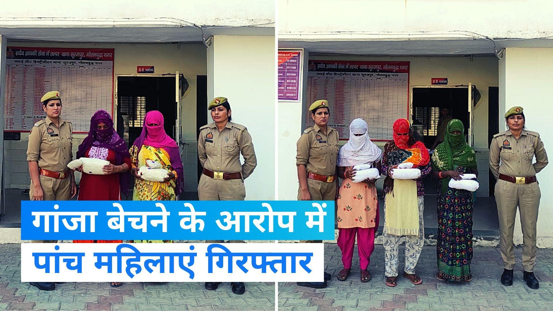 UP News: नोएडा में गांजा बेच रहीं पांच महिलाओं को पुलिस ने किया गिरफ्तार