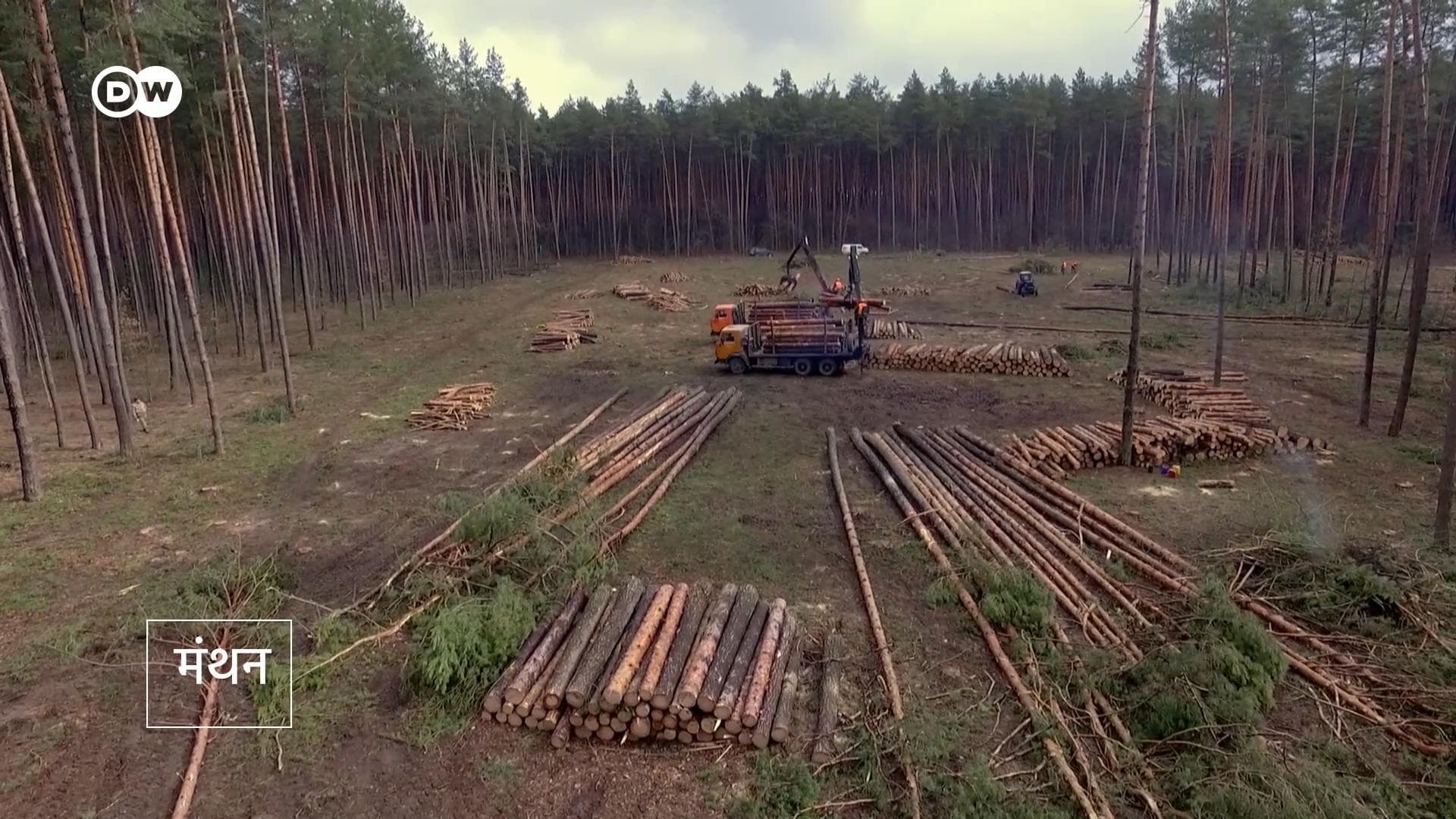 बायोमास हमारी कौन-कौन सी समस्याएं हर सकता है?