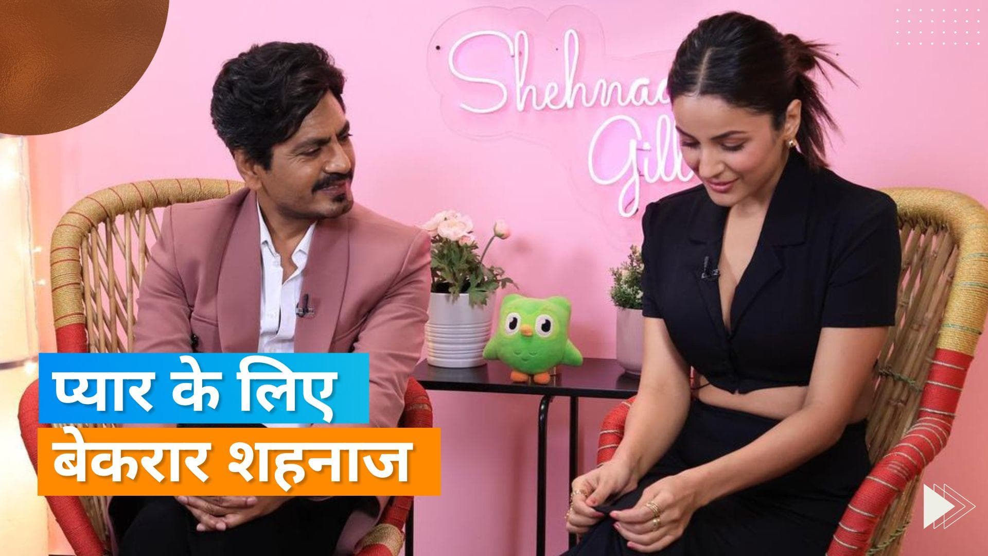 Shehnaaz Gill ने कहा कि वो सिर्फ एक चीज करना चाहती हैं वो है 'प्यार', 'प्यार होगा तो धोखा मिलेगा'