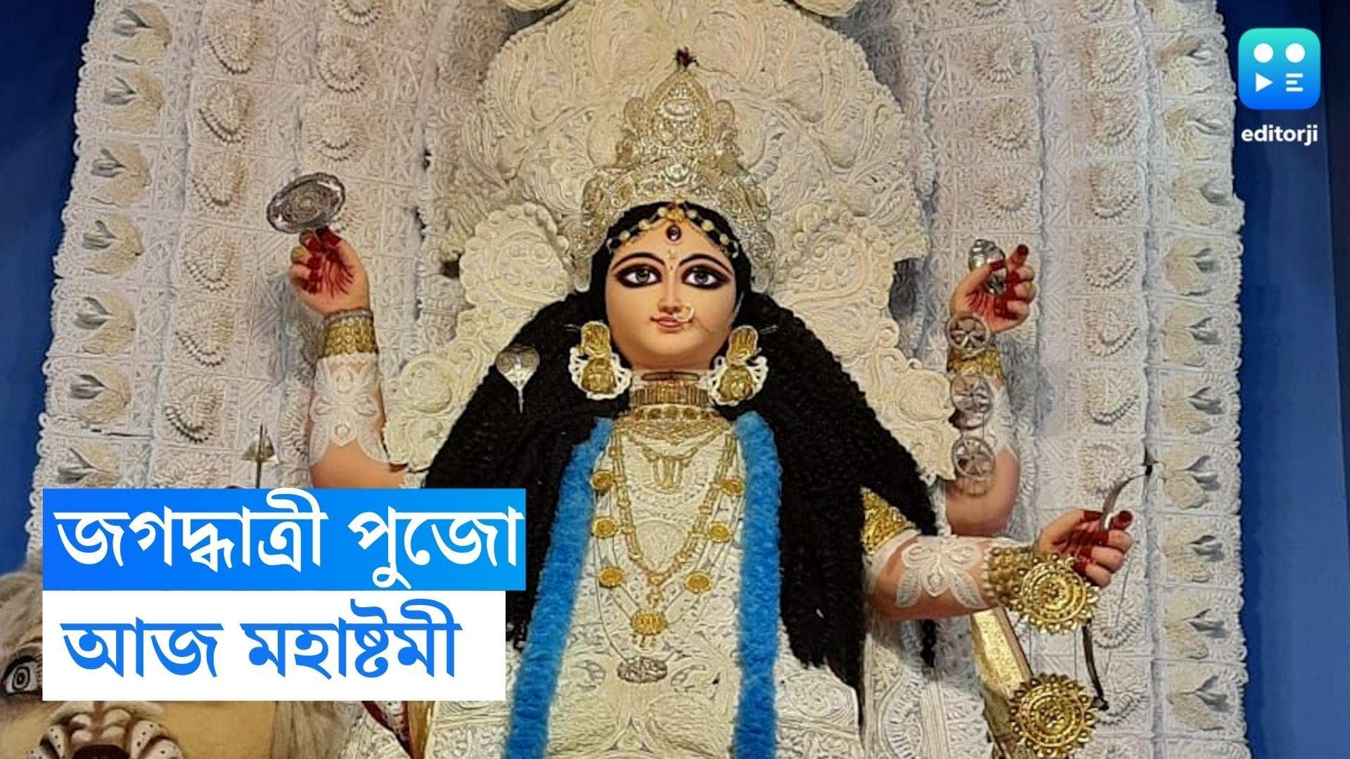 Jagaddhatri Puja 2022: আজ মহাঅষ্টমী, থিমের সঙ্গে সাবেকিয়ানা চাক্ষুস করতে ঢল নেমেছে দর্শনার্থীদের 