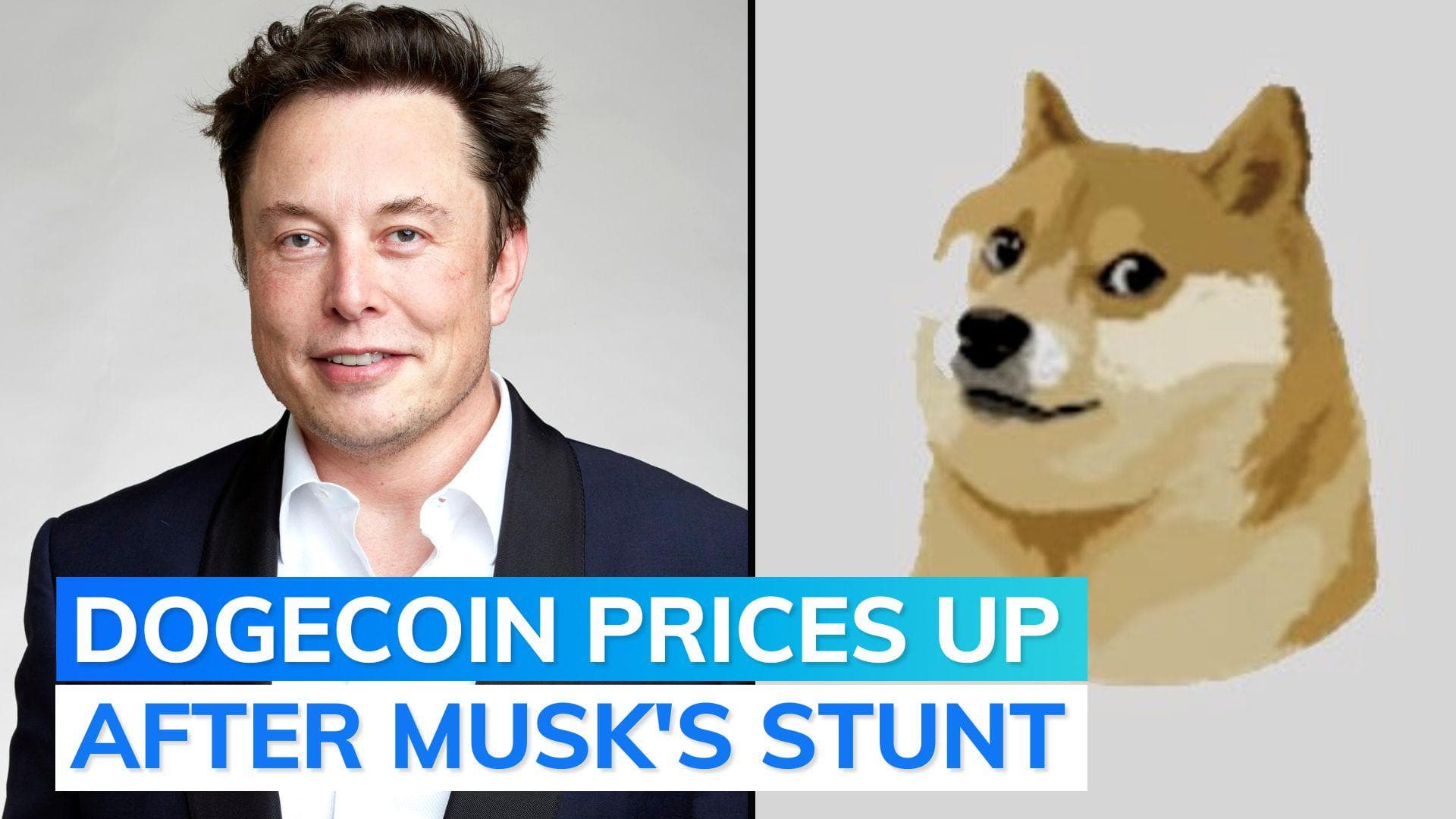 Elon Musk changes Twitter bird logo to 'doge' meme