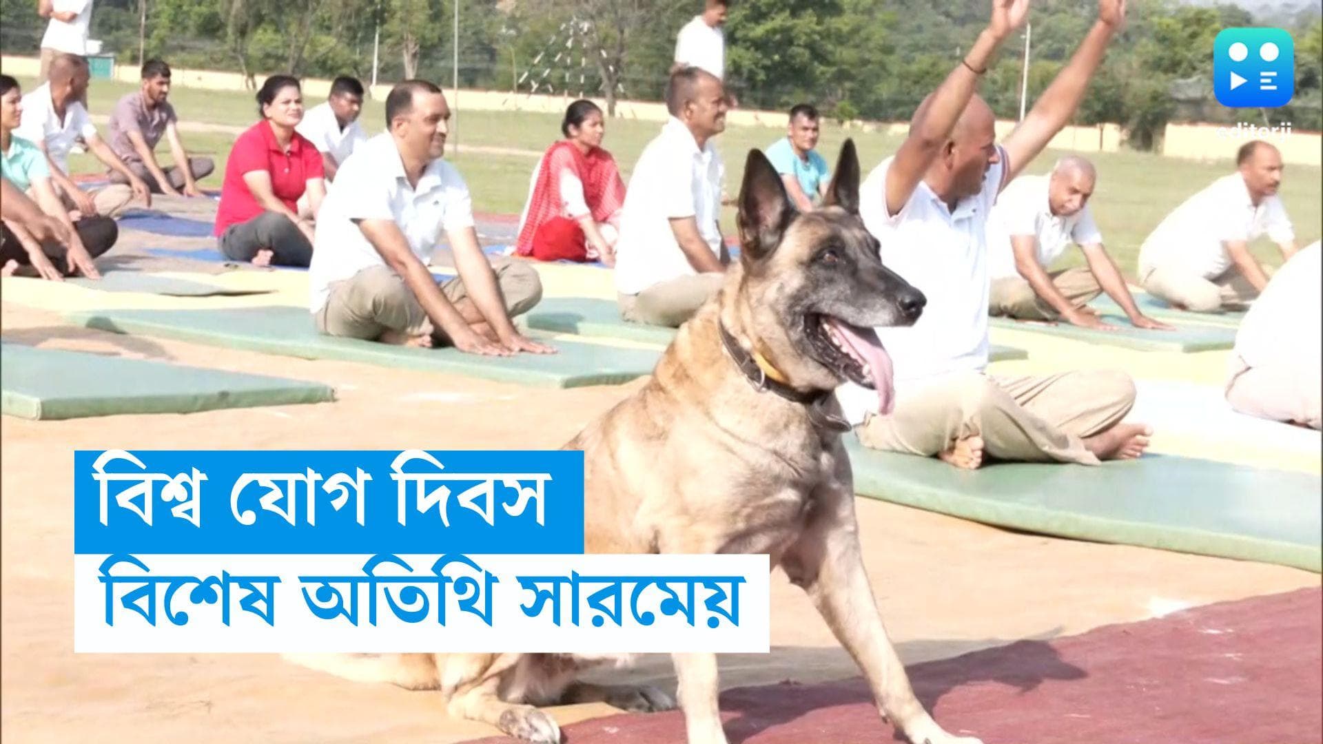 International Yoga Day: সারমেয়দেরও যোগ দিবস! পুলিশের অনুষ্ঠানে নজর কাড়ল দুই ফিটনেস ফ্রিক কুকুর
