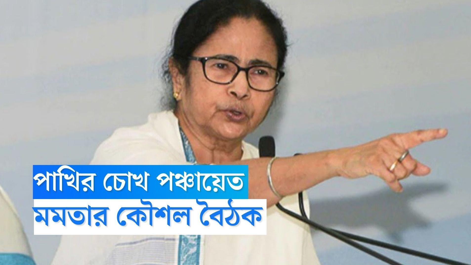 Mamata Banerjee : টার্গেট পঞ্চায়েত ভোট, দোসরা জানুয়ারি মমতার নেতৃত্বে তৃণমূলের কৌশল বৈঠক