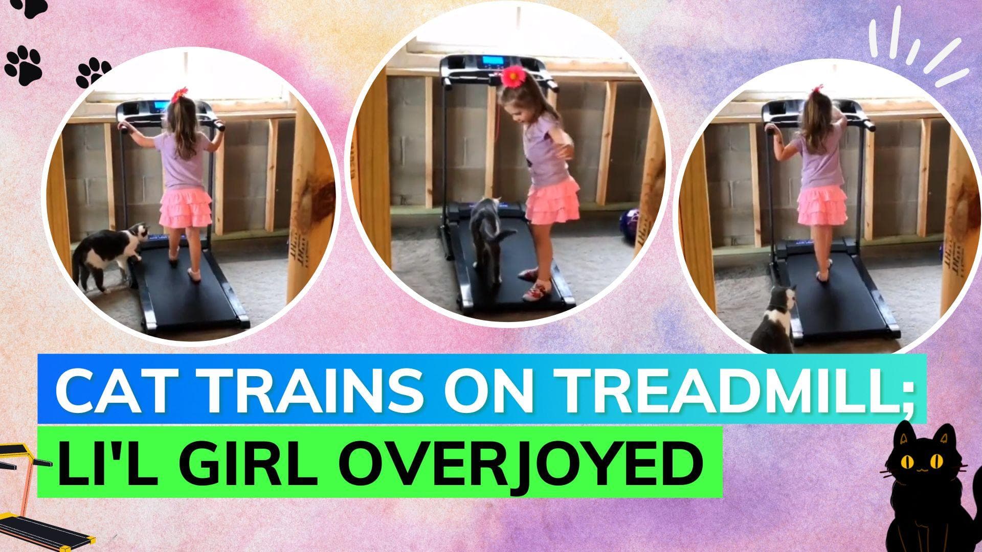 Trending: Little girl teaching a cat to use a treadmill is melting hearts on internet!