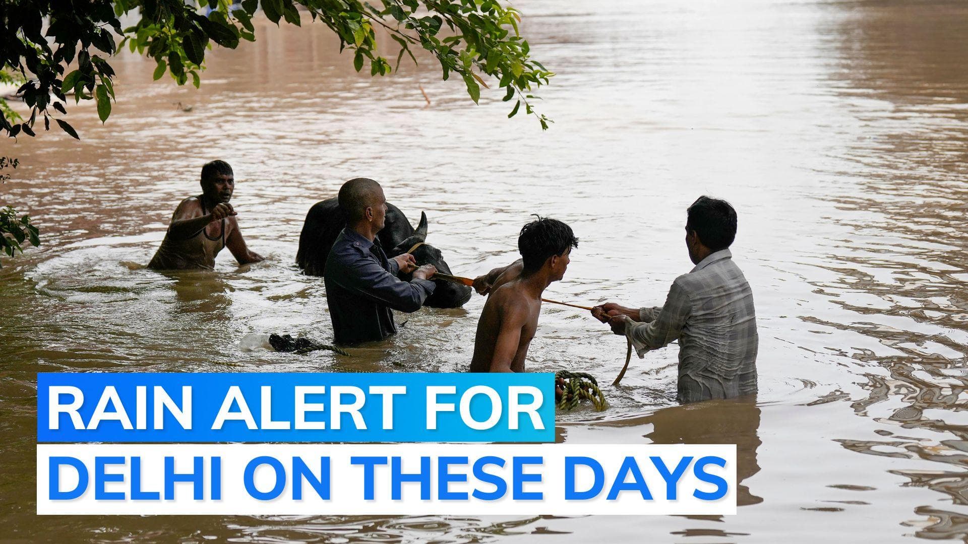 IMD predicts more rain in Delhi as city grapples with flood situation 