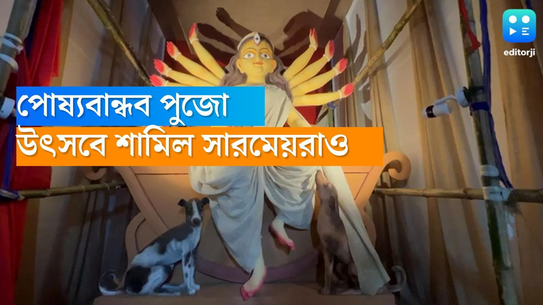 Pet friendly Durga Puja: উৎসবের দিনে পোষ্য ব্রাত্য নয়, বিধান সরণির পুজোয় প্রতিমার সঙ্গে একই বেদীতে সারমেয়