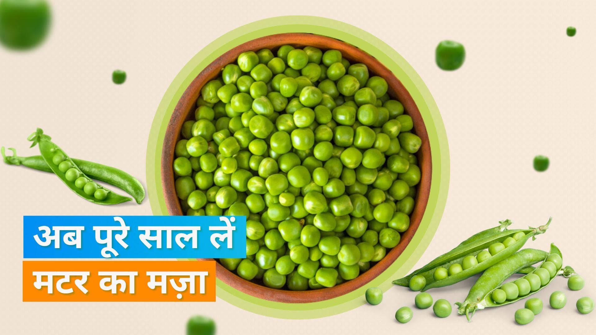 Preserve Green Peas: हरी मटर को इस बार ऐसे करें स्टोर, साल भर के लिए रहेंगी एक दम फ्रेश