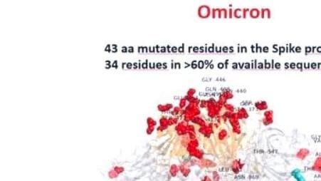 Omicron Photo: नए वेरिएंट ऑफ कन्सर्न की तस्वीर में दिखे 43 स्पाइक प्रोटीन म्यूटेशन, डेल्टा से 25 ज्यादा 