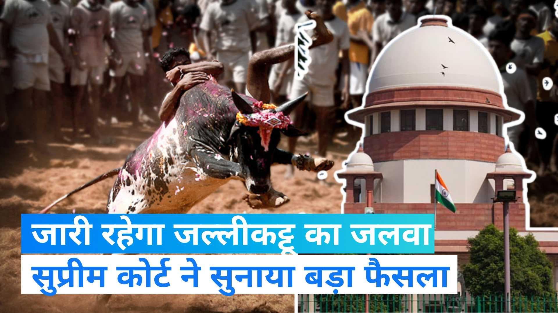 Verdict On Jallikattu: सुप्रीम कोर्ट ने जल्लीकट्टू विवाद पर सुनाया अहम फैसला, कानून की वैधता बरकरार 