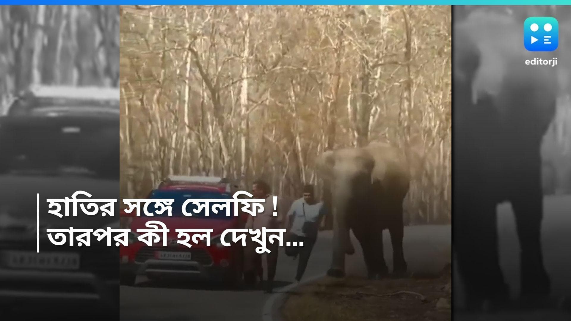 Elephant Attack : হাতির সঙ্গে সেলফি ! তারপর কী হল, দেখুন ভাইরাল ভিডিও