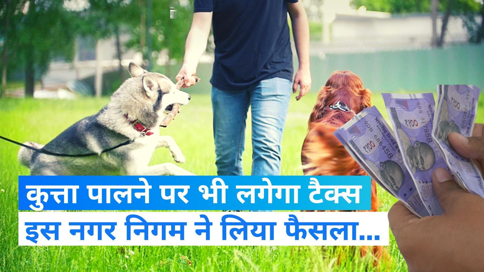 MP: अब कुत्ता पालने पर लगेगा टैक्स, जानें किस नगर निगम ने लिया फैसला?