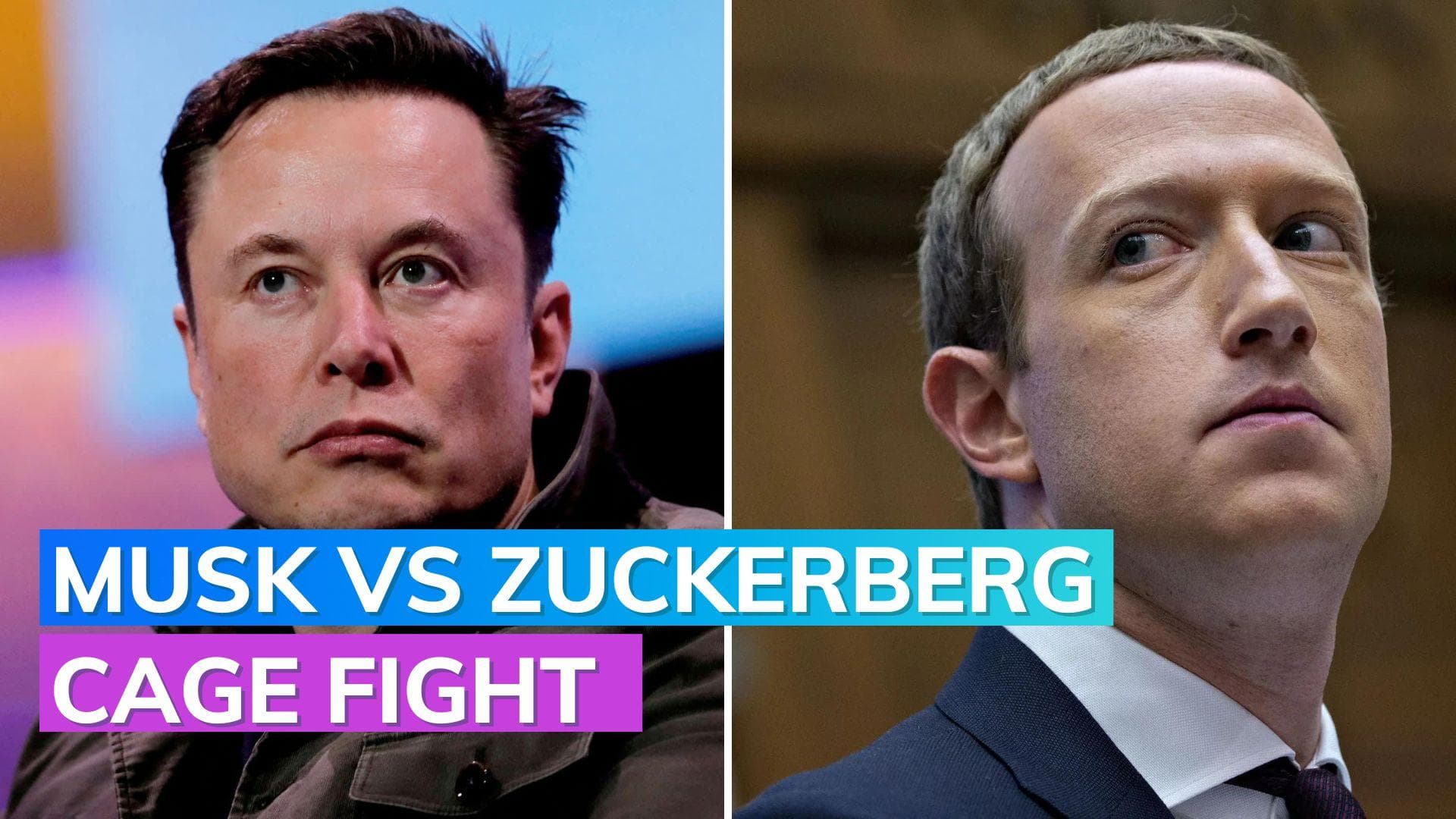 Musk and Zuckerberg cage fight: Tesla CEO seen training after Meta boss doing Jiu Jitsu goes viral 