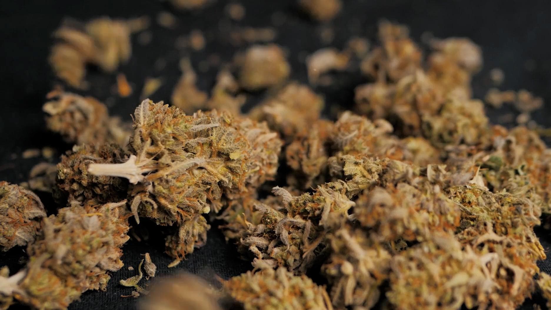 Send drug users or addicts for rehabilitation, not jail: social justice ministry