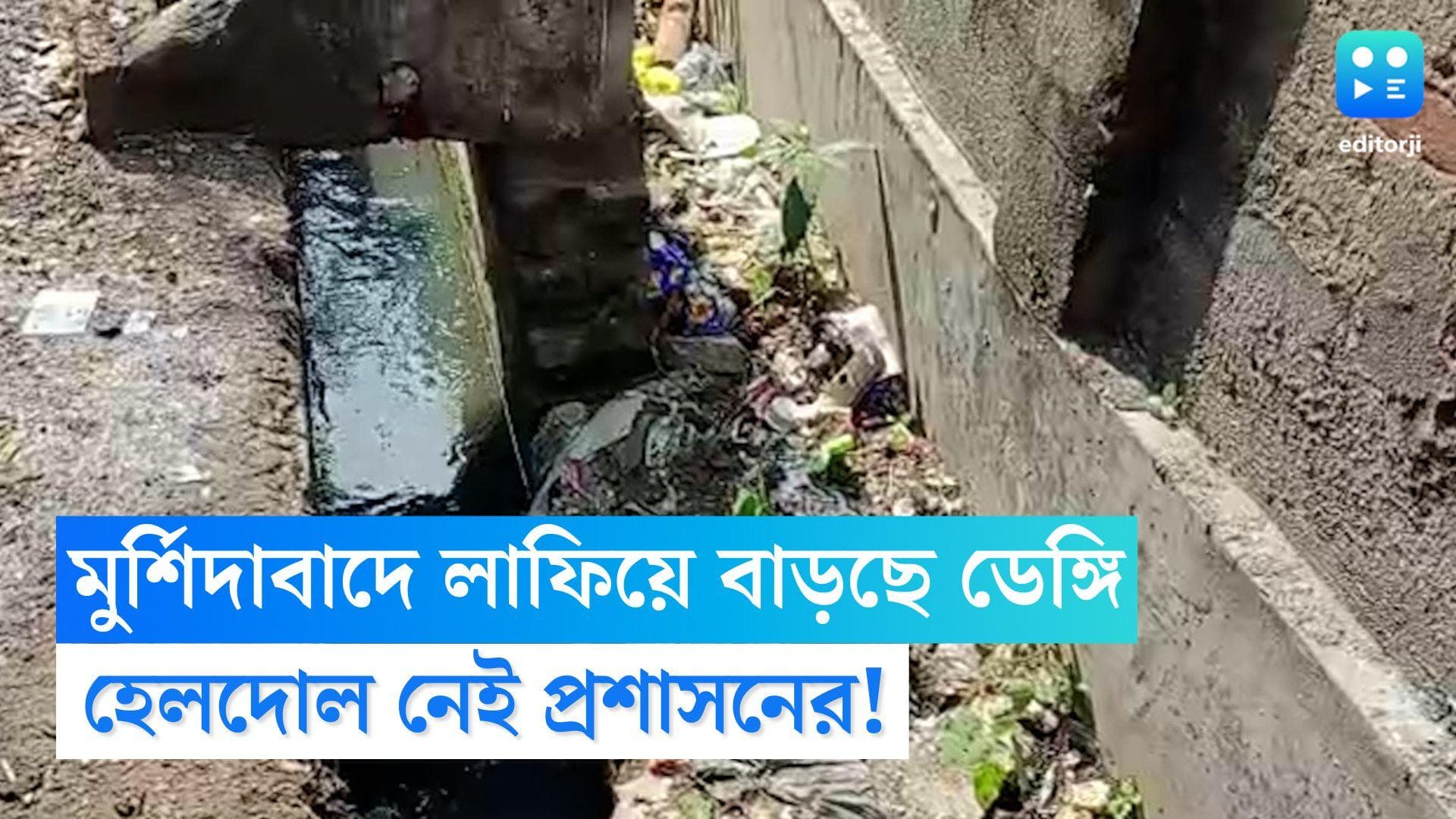 Murshidabad Dengue Case: মুর্শিদাবাদে হুহু করে বাড়ছে ডেঙ্গি, প্রশাসনের গাফিলতির অভিযোগ স্থানীয়দের 
