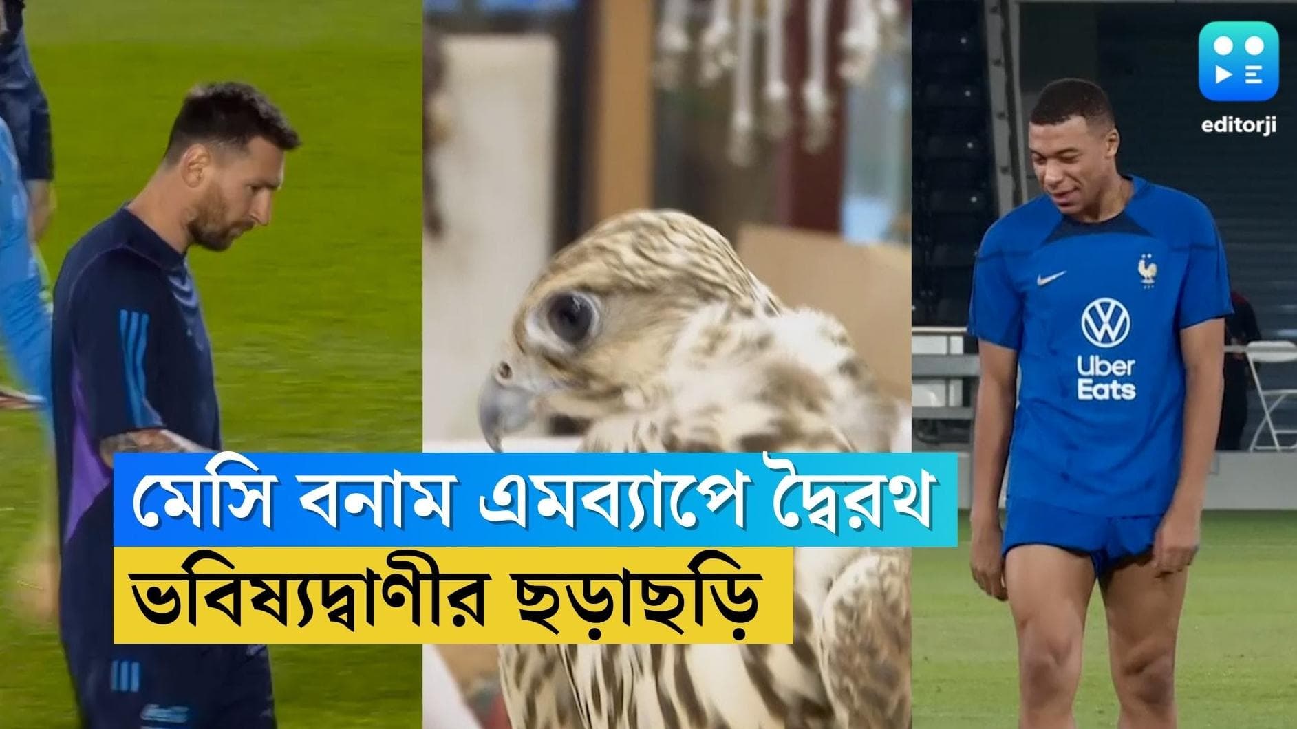 Qatar world Cup prediction: বিশ্বসেরা কারা, কাতার বিশ্বকাপ নিয়ে কুকুর-বেড়াল-বাজ পাখীর ভবিষ্যদ্বাণীর ভিড়