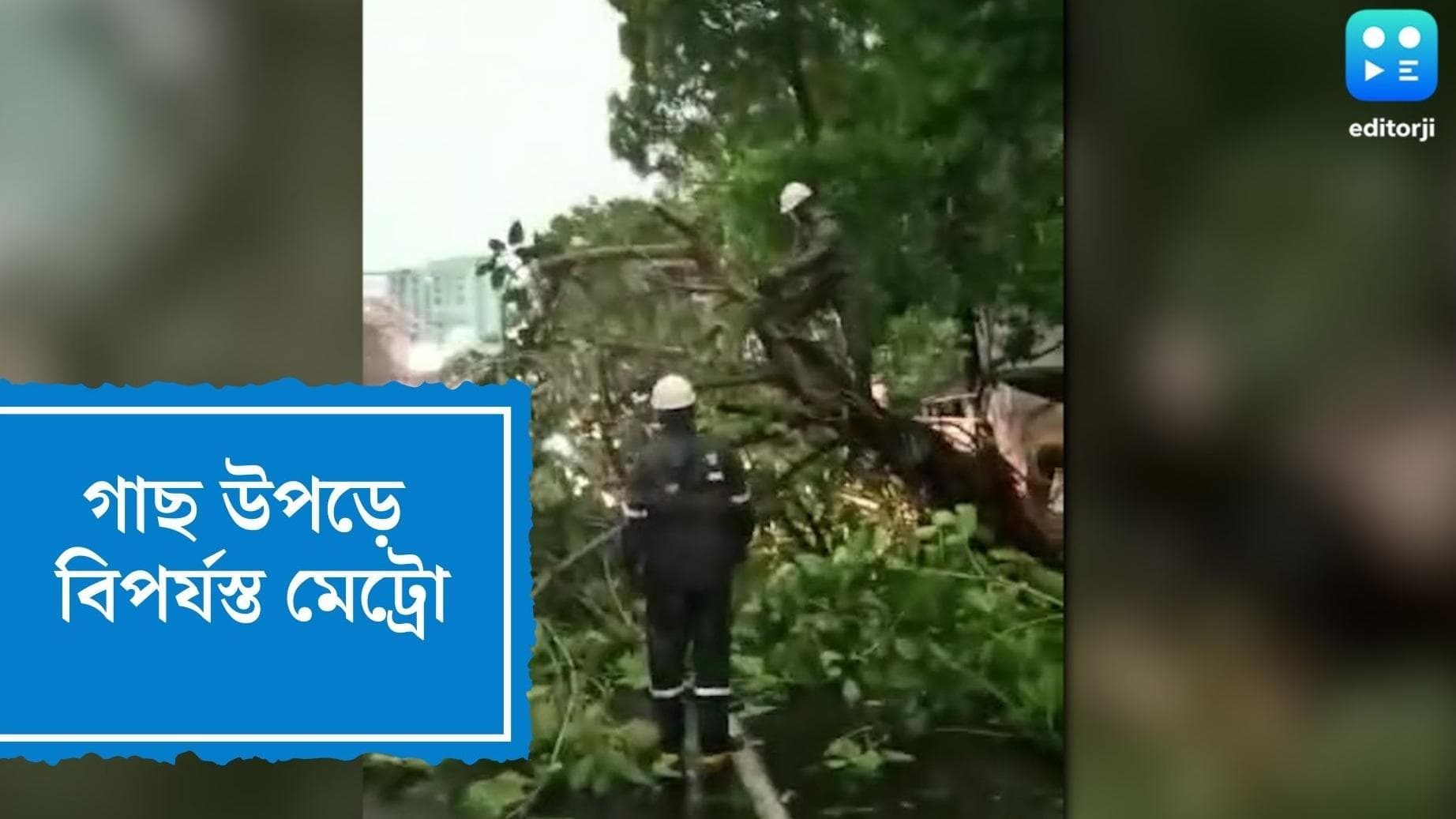 Metro Service disrupted: প্রবল ঝড়ে ভাঙল গাছ, একঘন্টার জন্য টালিগঞ্জে বন্ধ থাকল মেট্রো পরিষেবা