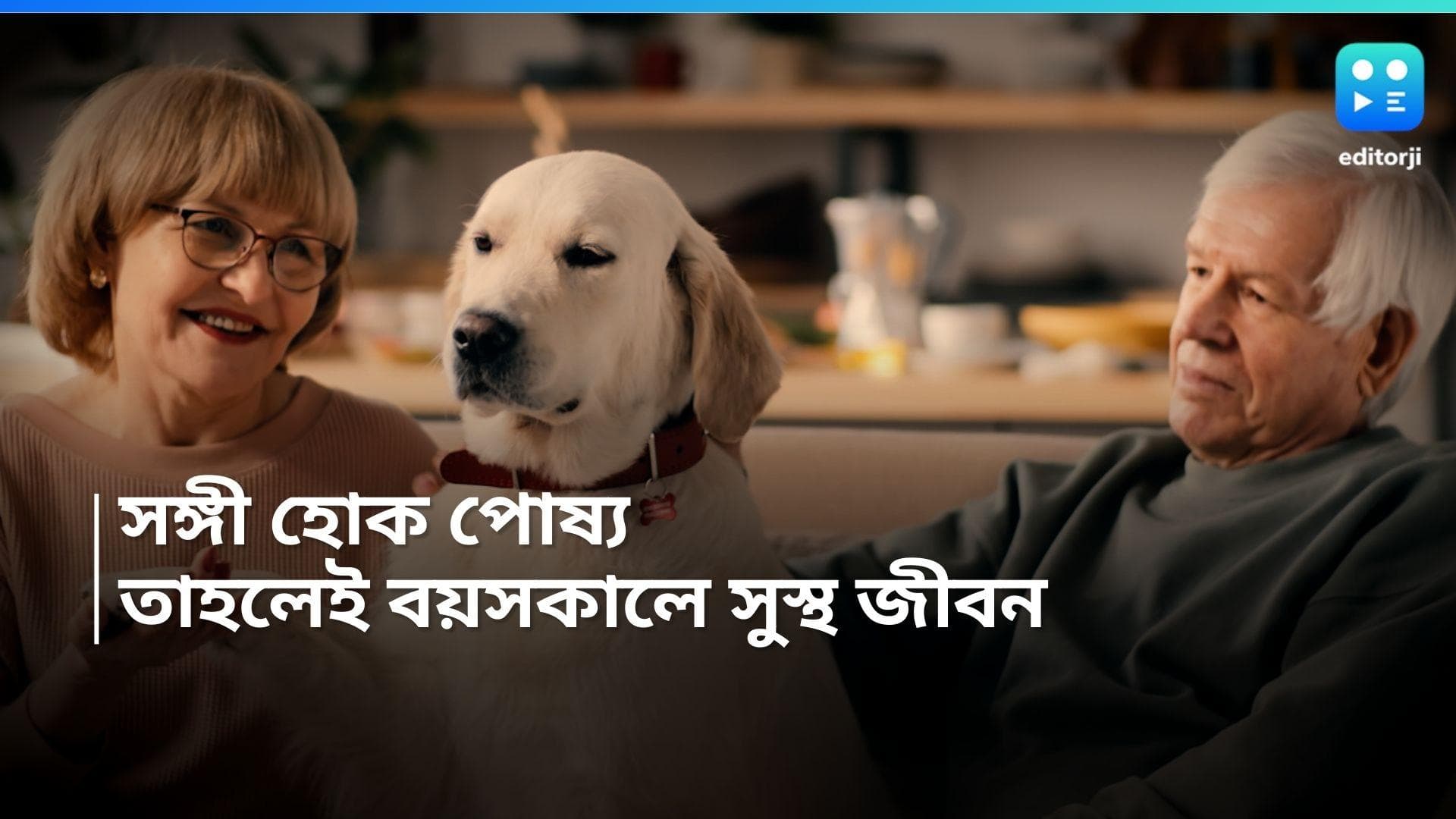 Dog-Lifestyle: বয়সকালে শরীর সুস্থ রাখতে ভরসা পোষ্য কুকুর, বলছে গবেষণা