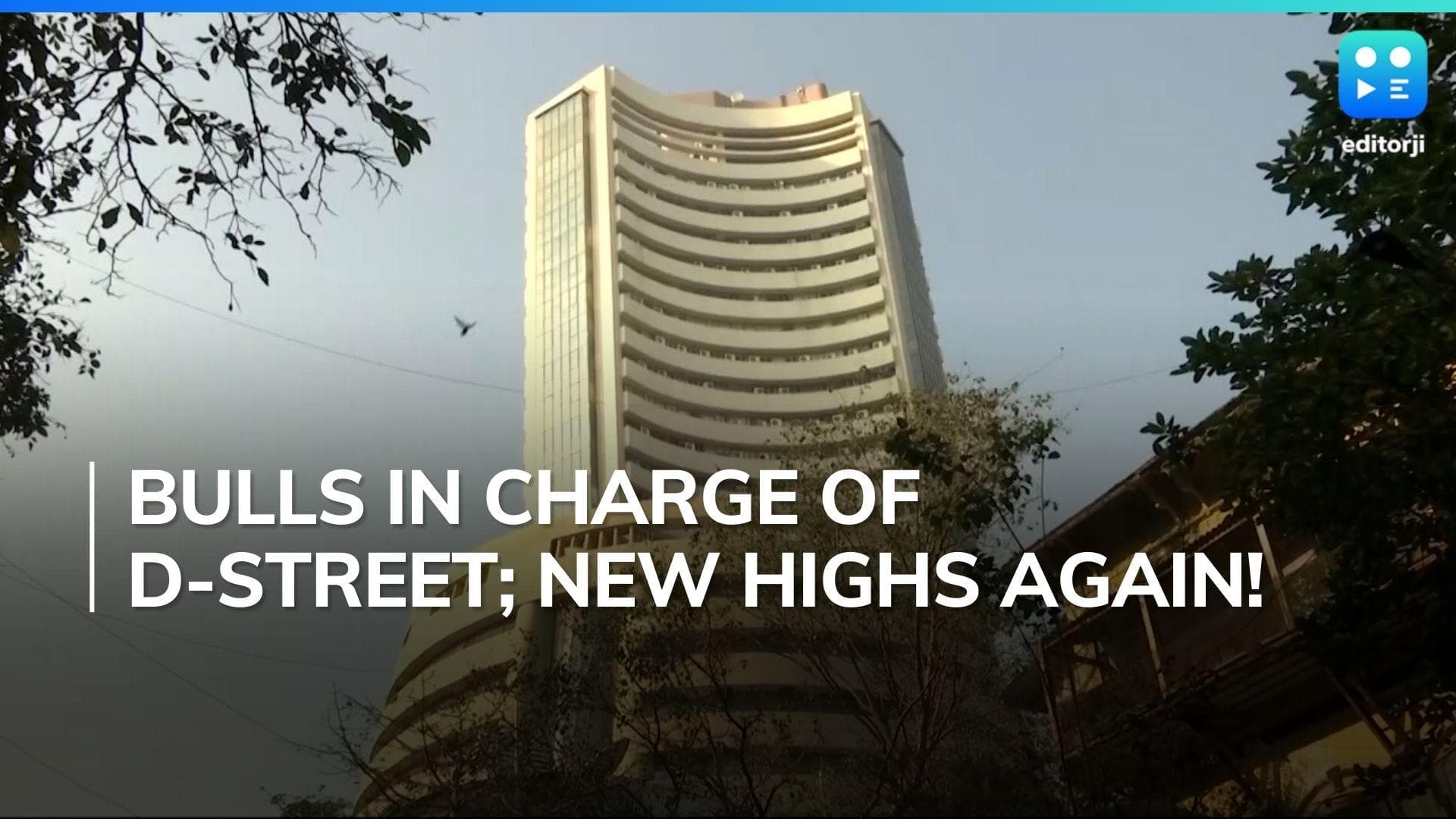 D-street rally continues: Markets gain for 4th consecutive session; Nifty, Sensex hit record highs