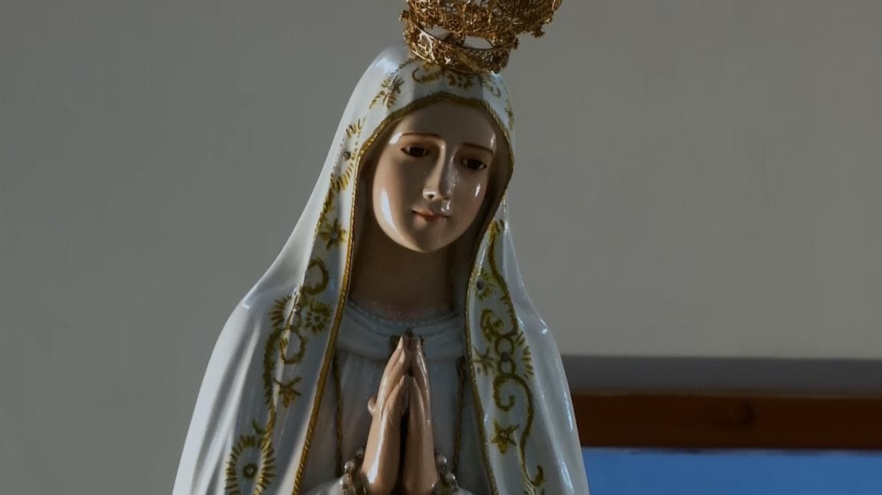 Charity founded by Mother Teresa embroiled in 'fund freeze' row: who said what