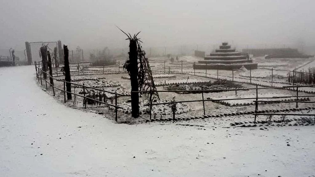 Darjeeling Snowfall: বরফের চাদরে মুড়ল দার্জিলিং! রেকর্ড তুষারপাত শৈলশহরে