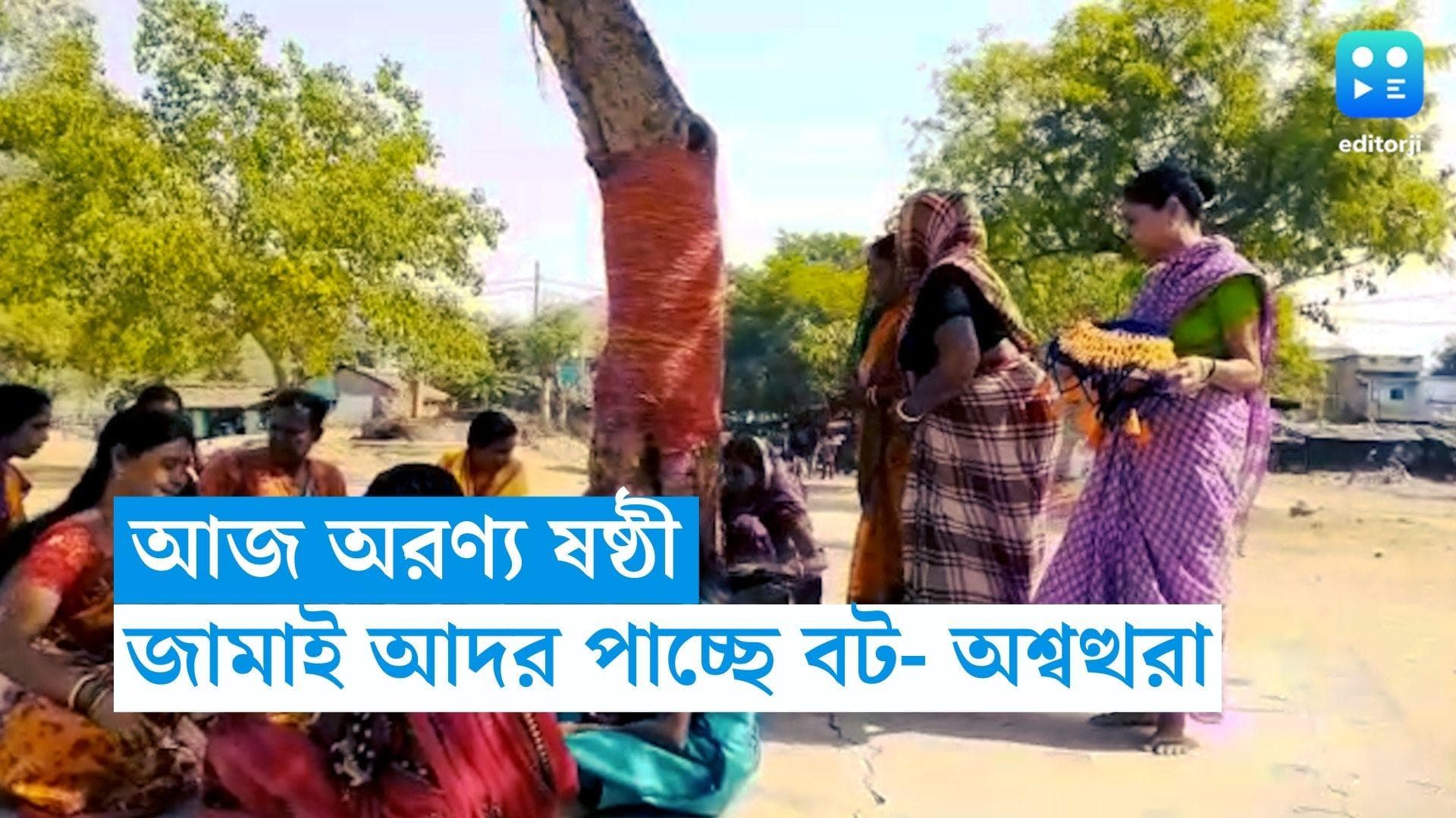 Aranya Shashti: আজ অরণ্য ষষ্ঠী, জামাই আদর পাচ্ছে বট- অশ্বত্থরা