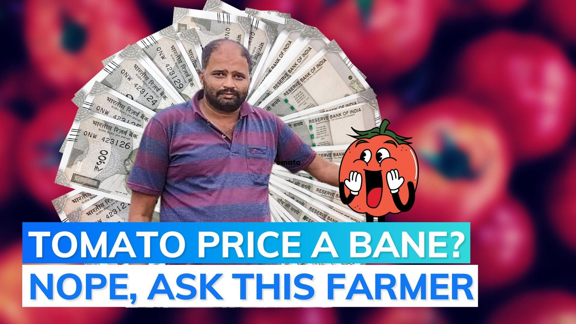 Tomato prices surge: This farmer became crorepati in just a month