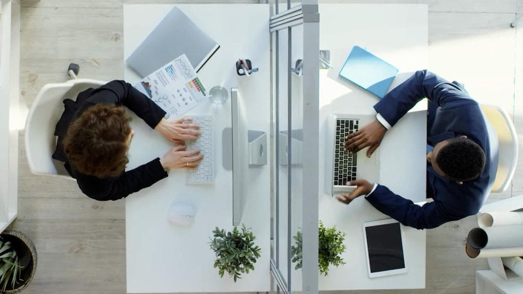 Professional two-timing! Cheating on the job in the new WFH era